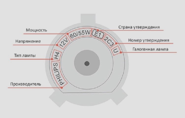 Лампы ближнего света — важнейший элемент автомобильного освещения
