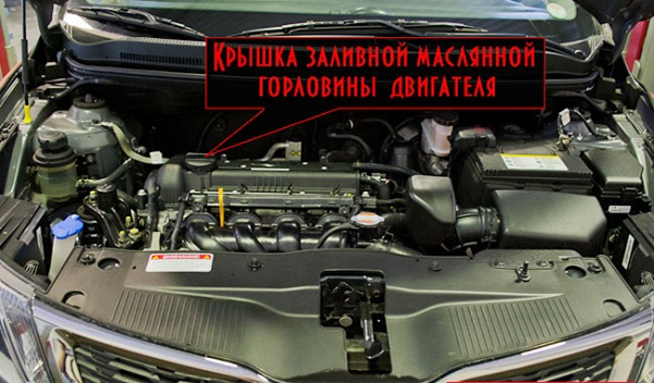 Самостоятельно меняем масло на автомобиле Киа Рио
