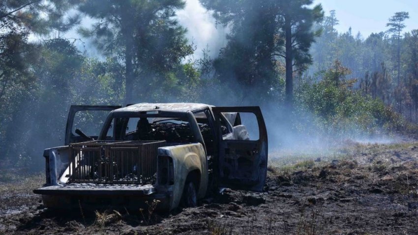 В Магадане медведи разорвали три автомобиля (видео)
