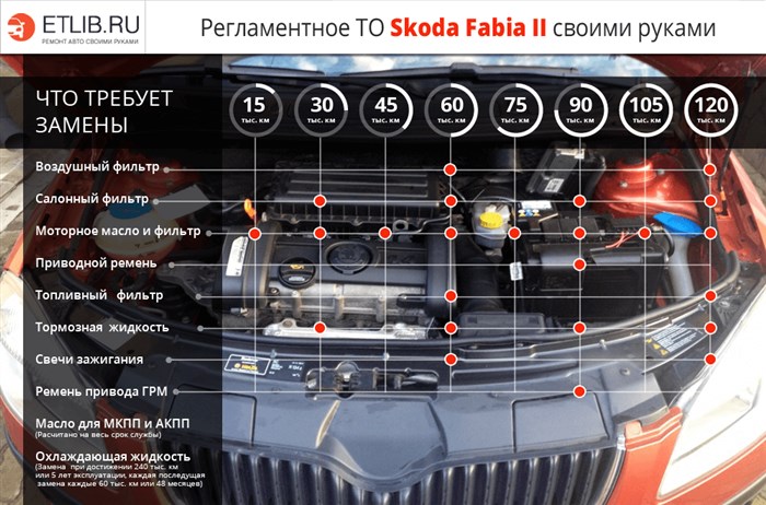 Шкода Фабия Бензобак Сколько Литров Бак • Список работ при то 1