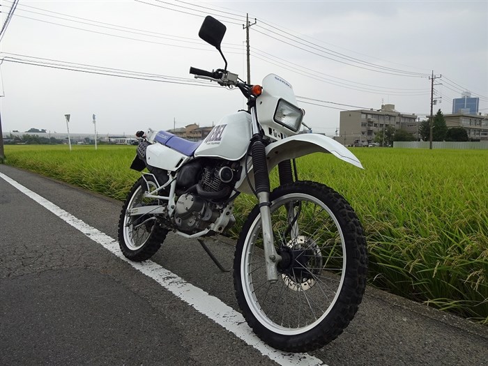 Сколько Стоит Мотоцикл Эндуро 250 Куб Suzuki djebel 250