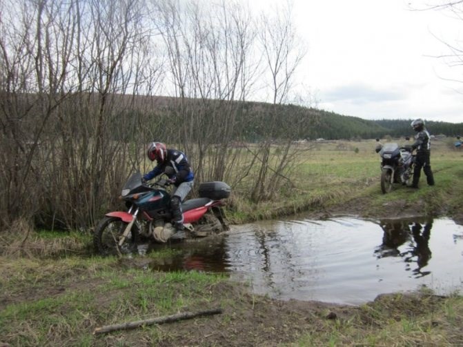 Suzuki xf 650 Freewind Отзывы Владельцев • Honda xlv 700 transalp Suzuki xf 650 Freewind Отзывы Владельцев • Honda xlv 700 transalp