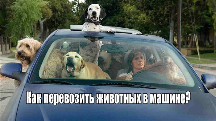 Не Горят Противотуманные Фары Киа Спектра – Соединения электростеклоподъемников